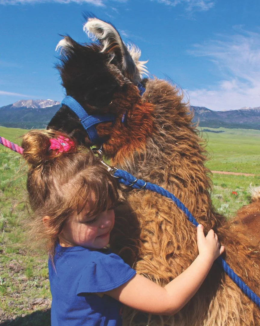 Likable Llamas